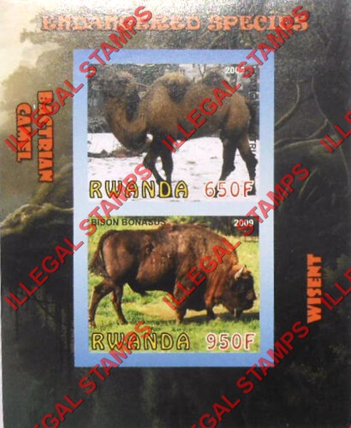Rwanda 2009 Endangered Species Bactrian Camel and Wisent Illegal Stamp Souvenir Sheet of 2 Rwanda 2009 Endangered Species Bactrian Camel and Wisent Illegal Stamp Souvenir Sheet of 2