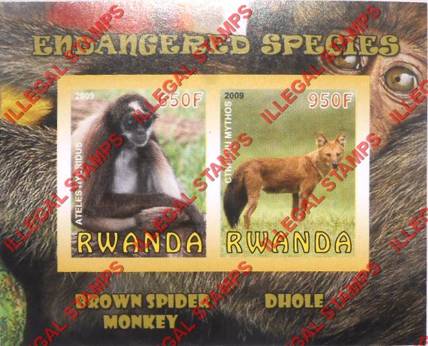Rwanda 2009 Endangered Species Brown spider Monkey and Dhole Illegal Stamp Souvenir Sheet of 2 Rwanda 2009 Endangered Species Brown spider Monkey and Dhole Illegal Stamp Souvenir Sheet of 2