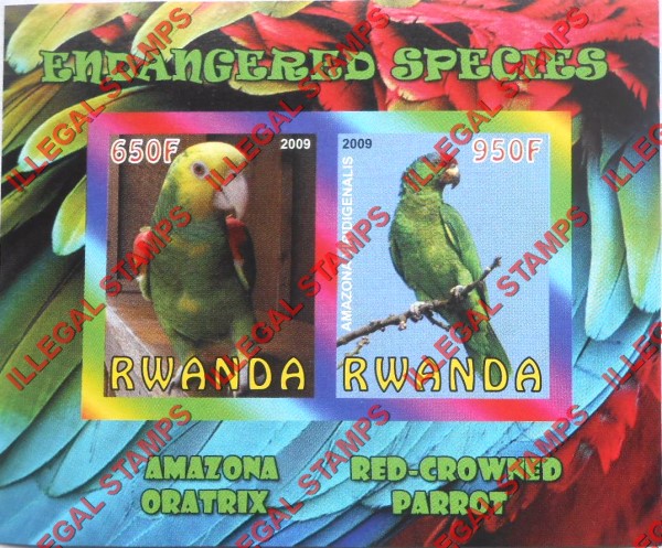 Rwanda 2009 Endangered Species Amazona Oratrix and Red-crowned Parrot Illegal Stamp Souvenir Sheet of 2 Rwanda 2009 Endangered Species Amazona Oratrix and Red-crowned Parrot Illegal Stamp Souvenir Sheet of 2