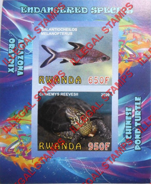Rwanda 2009 Endangered Species Amazona Oratrix and Chinese Pond Turtle Illegal Stamp Souvenir Sheet of 2 Rwanda 2009 Endangered Species Amazona Oratrix and Chinese Pond Turtle Illegal Stamp Souvenir Sheet of 2