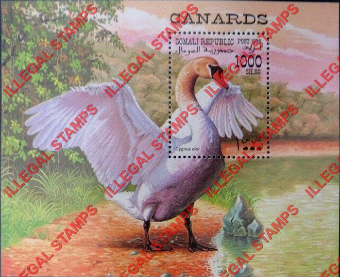 Somalia 1998 Birds Ducks Illegal Stamp Souvenir Sheet of 1 Somalia 1998 Birds Ducks Illegal Stamp Souvenir Sheet of 1