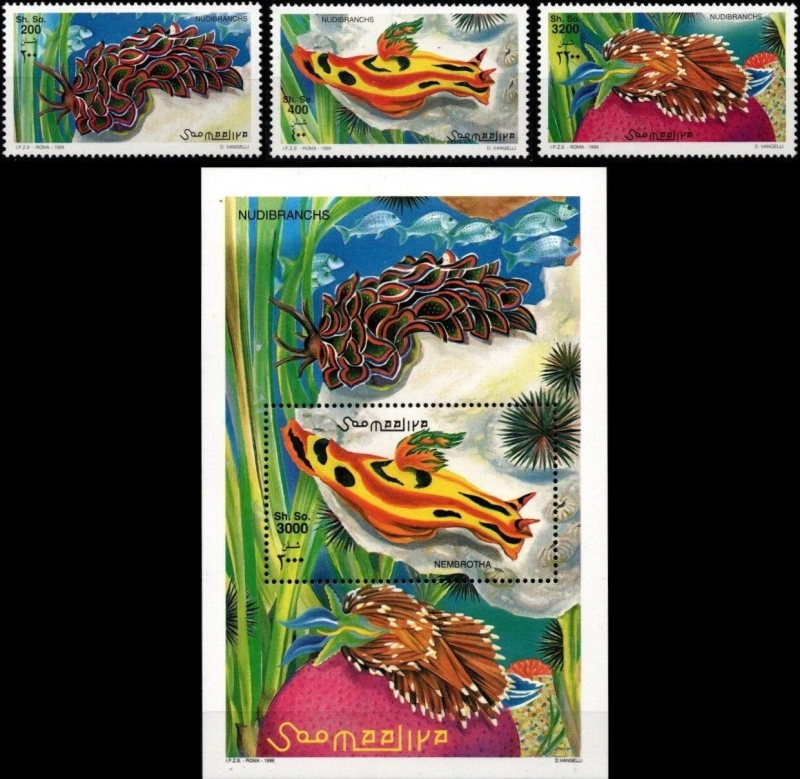 Somalia 1999 Molluscs Michel 794-796 BL 65 Somalia 1999 Molluscs Michel 794-796 BL 65