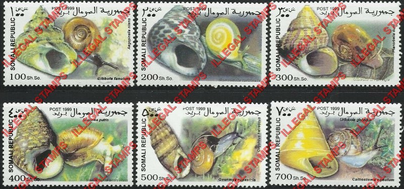 Somalia 1999 Shells Illegal Stamp Set of 6 Somalia 1999 Shells Illegal Stamp Set of 6