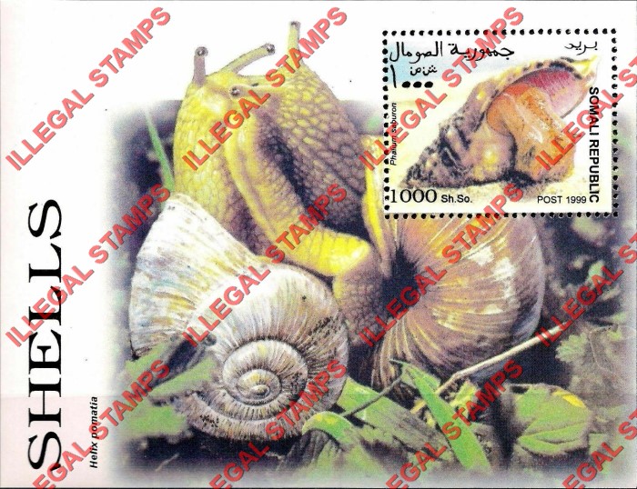 Somalia 1999 Shells Illegal Stamp Souvenir Sheet of 1 Somalia 1999 Shells Illegal Stamp Souvenir Sheet of 1