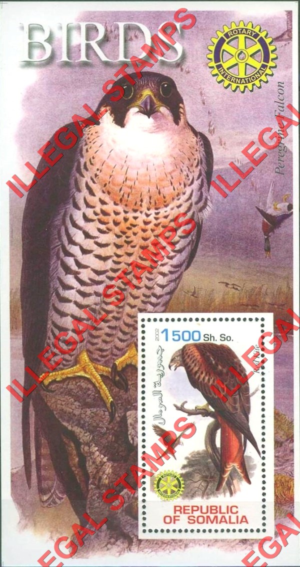 Somalia 2002 Birds Illegal Stamp Souvenir Sheet of 1 Somalia 2002 Birds Illegal Stamp Souvenir Sheet of 1