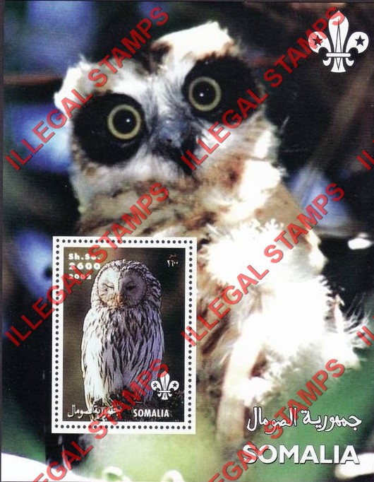 Somalia 2002 Owls Illegal Stamp Souvenir Sheet of 1 (Sheet 3) Somalia 2002 Owls Illegal Stamp Souvenir Sheet of 1 (Sheet 3)
