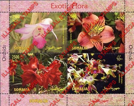 Somalia 2004 Orchids Exotic Flora Illegal Stamp Souvenir Sheet of 4 Somalia 2004 Orchids Exotic Flora Illegal Stamp Souvenir Sheet of 4