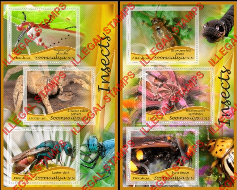 Somalia 2016 Insects Illegal Stamp Souvenir Sheets of 3 Somalia 2016 Insects Illegal Stamp Souvenir Sheets of 3