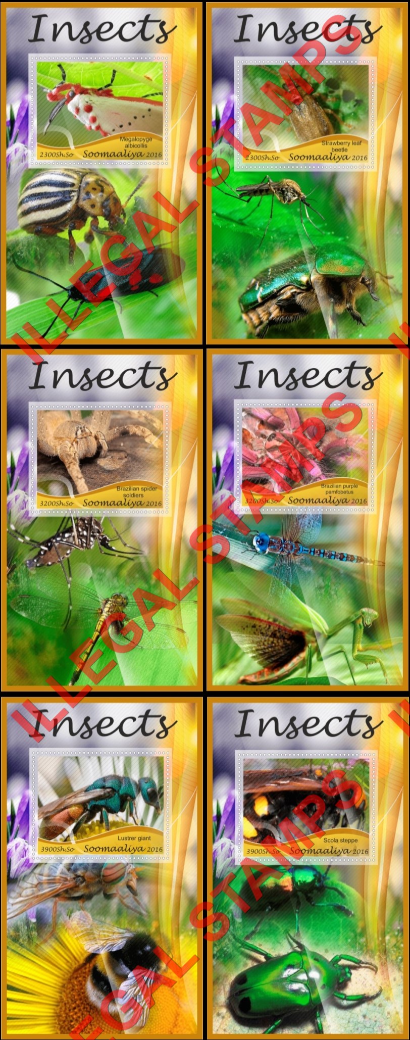 Somalia 2016 Insects Illegal Stamp Souvenir Sheets of 1 Somalia 2016 Insects Illegal Stamp Souvenir Sheets of 1
