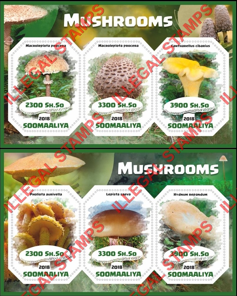 Somalia 2018 Mushrooms (different) Illegal Stamp Souvenir Sheets of 3 Somalia 2018 Mushrooms (different) Illegal Stamp Souvenir Sheets of 3