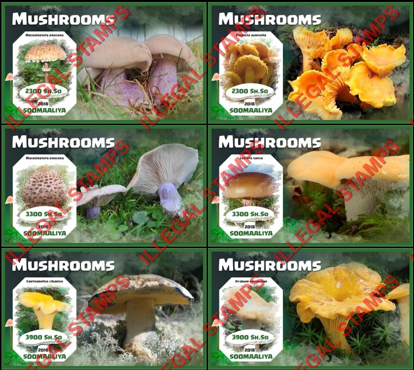 Somalia 2018 Mushrooms (different) Illegal Stamp Souvenir Sheets of 1 Somalia 2018 Mushrooms (different) Illegal Stamp Souvenir Sheets of 1