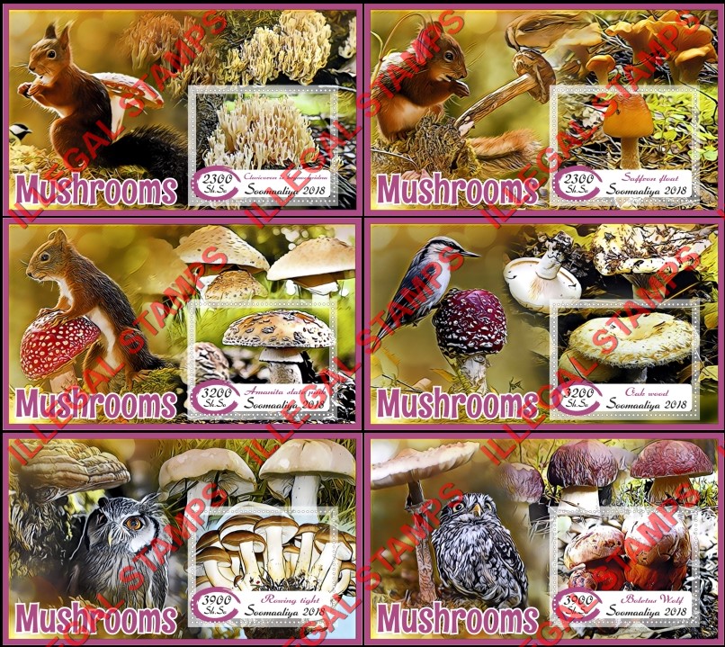 Somalia 2018 Mushrooms Illegal Stamp Souvenir Sheets of 1 Somalia 2018 Mushrooms Illegal Stamp Souvenir Sheets of 1