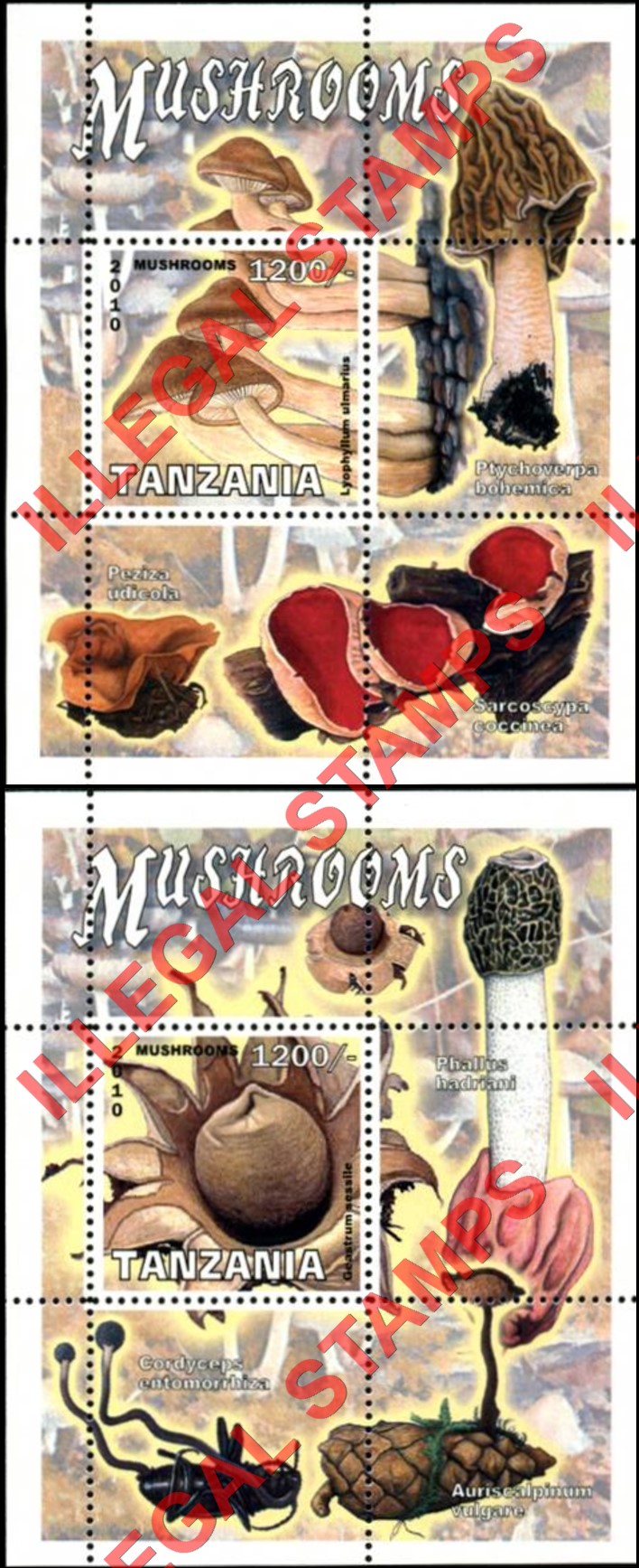 Tanzania 2010 Mushrooms Illegal Stamp Souvenir Sheets of 1 Tanzania 2010 Mushrooms Illegal Stamp Souvenir Sheets of 1