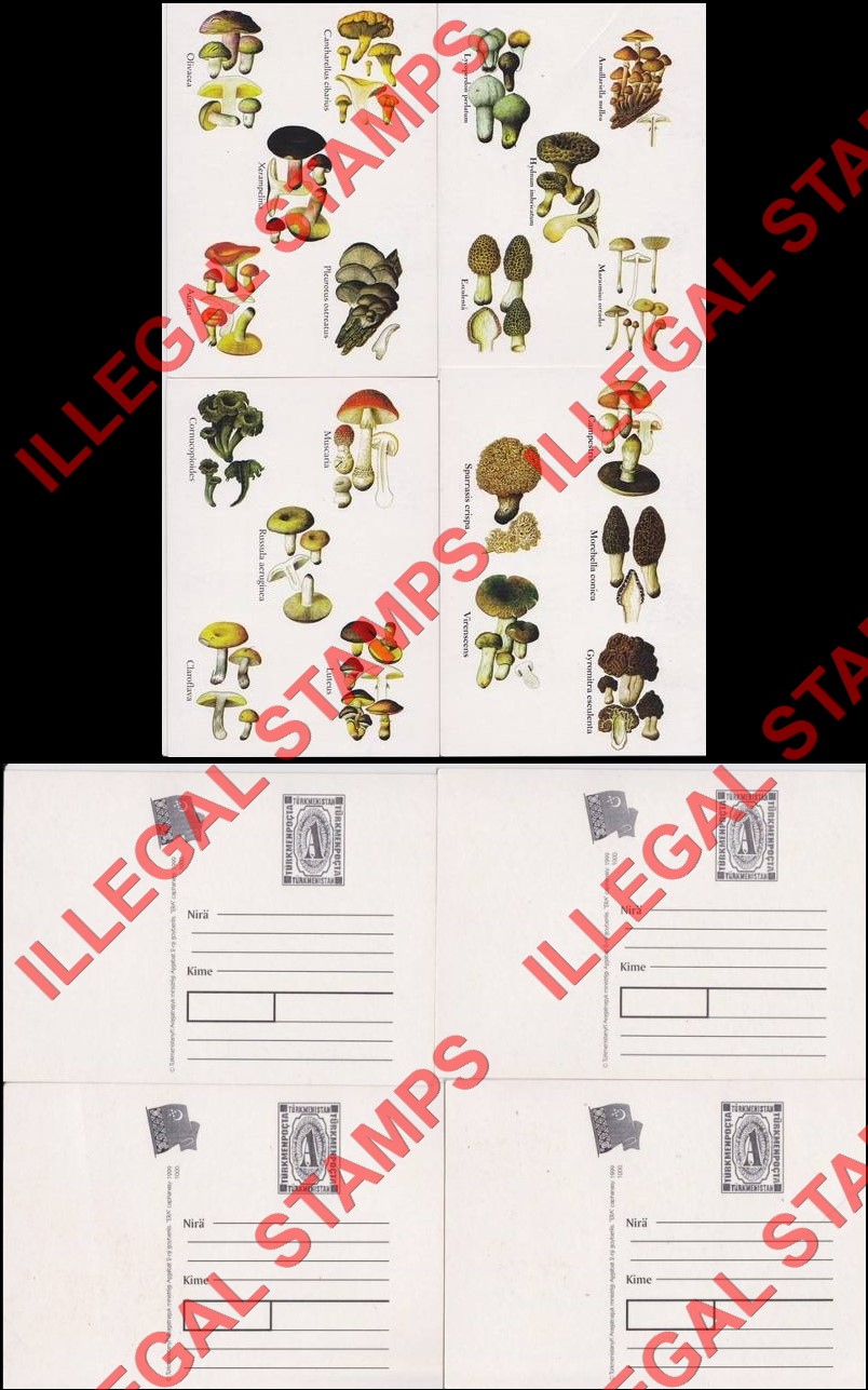 Turkmenistan 1999 Mushrooms Illegal Stamp Fake Postcards Turkmenistan 1999 Mushrooms Illegal Stamp Fake Postcards