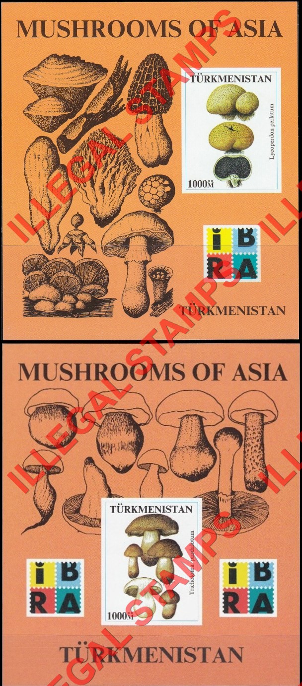 Turkmenistan 1999 Mushrooms of Asia with IBRA logo Illegal Stamp Souvenir Sheets of 1 Turkmenistan 1999 Mushrooms of Asia with IBRA logo Illegal Stamp Souvenir Sheets of 1