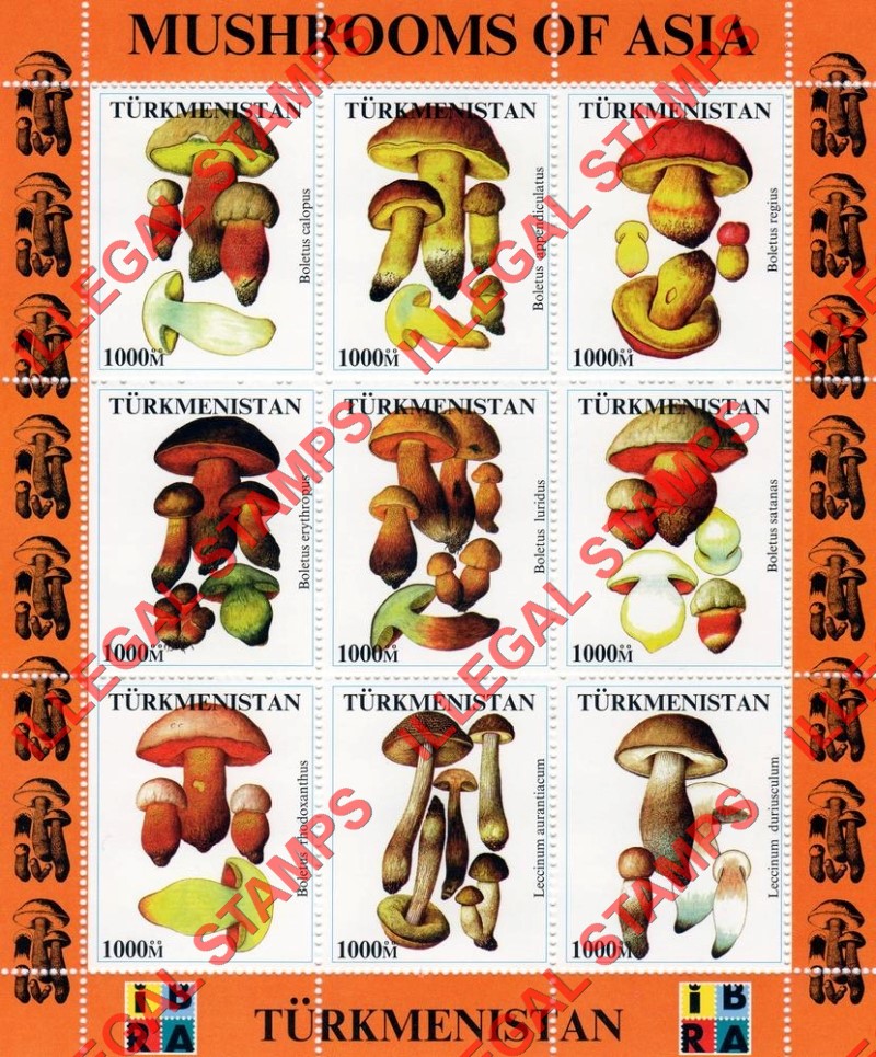 Turkmenistan 1999 Mushrooms of Asia with IBRA logo Illegal Stamp Souvenir Sheets of 9 (Sheet 2) Turkmenistan 1999 Mushrooms of Asia with IBRA logo Illegal Stamp Souvenir Sheets of 9 (Sheet 2)