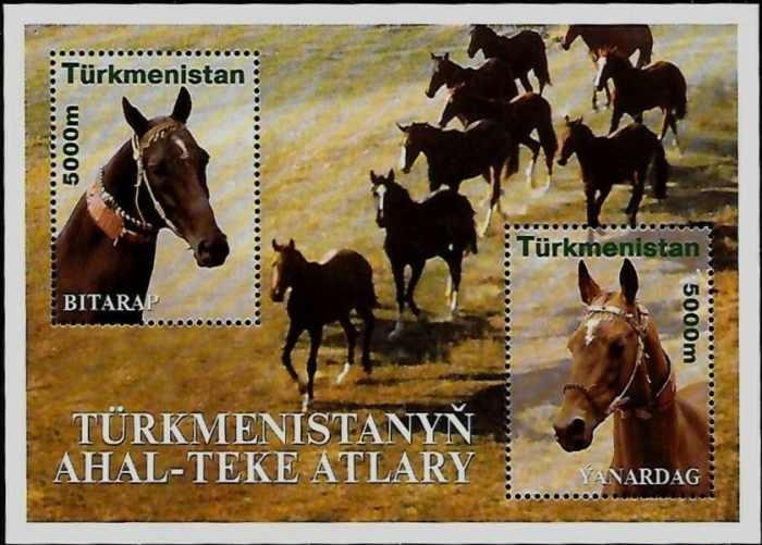 Turkmenistan 2001 Horses Scott Catalog No. 78 Turkmenistan 2001 Horses Scott Catalog No. 78