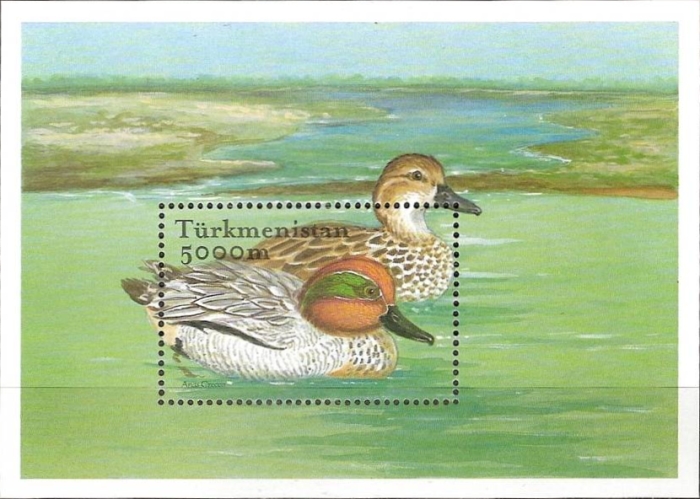 Turkmenistan 2002 Birds of Turkmenistan Scott Catalog No. 89 Turkmenistan 2002 Birds of Turkmenistan Scott Catalog No. 89
