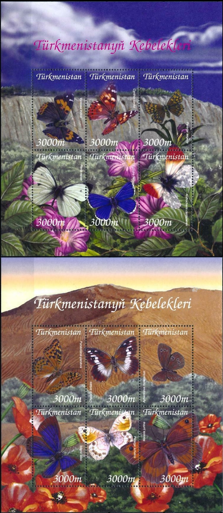 Turkmenistan 2002 Butterflies of Turkmenistan Scott Catalog No. 91-92 Turkmenistan 2002 Butterflies of Turkmenistan Scott Catalog No. 91-92