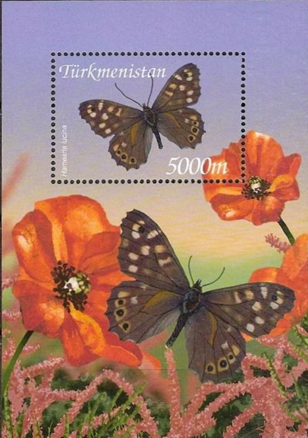 Turkmenistan 2002 Butterflies of Turkmenistan Scott Catalog No. 93 Turkmenistan 2002 Butterflies of Turkmenistan Scott Catalog No. 93