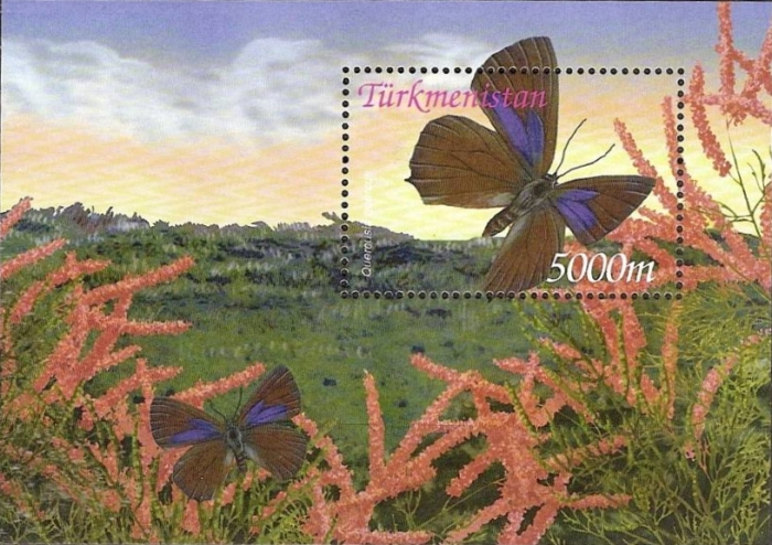 Turkmenistan 2002 Butterflies of Turkmenistan Scott Catalog No. 94 Turkmenistan 2002 Butterflies of Turkmenistan Scott Catalog No. 94