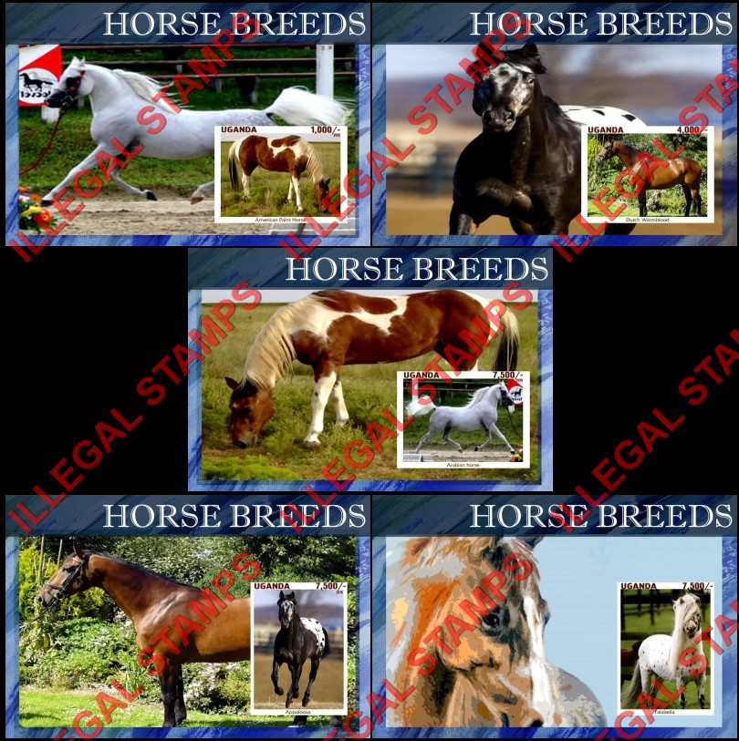 Uganda 2015 Horses Horse Breeds Illegal Stamp Souvenir Sheets of 1 Uganda 2015 Horses Horse Breeds Illegal Stamp Souvenir Sheets of 1