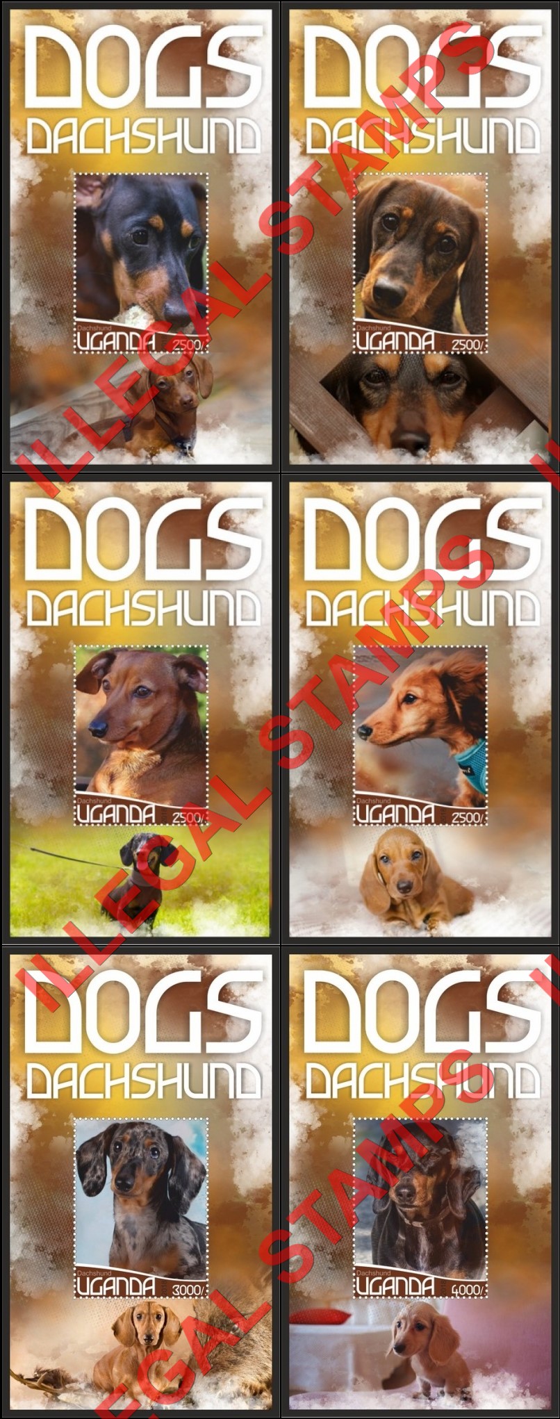 Uganda 2018 Dogs Dachshund Illegal Stamp Souvenir Sheets of 1 Uganda 2018 Dogs Dachshund Illegal Stamp Souvenir Sheets of 1