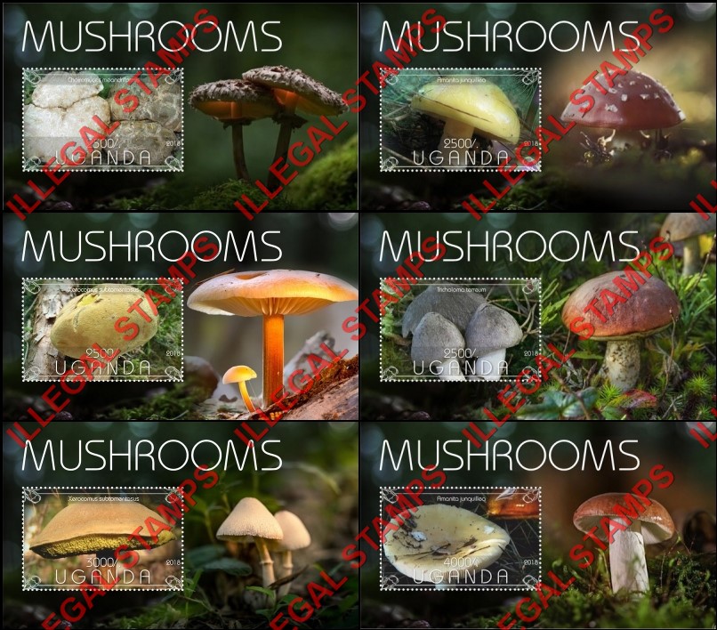 Uganda 2018 Mushrooms Illegal Stamp Souvenir Sheets of 1 Uganda 2018 Mushrooms Illegal Stamp Souvenir Sheets of 1