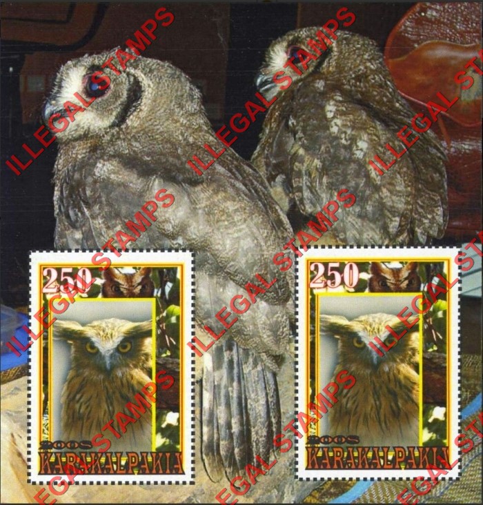 KARAKALPAKIA 2008 Owls Counterfeit Illegal Stamp Souvenir Sheet of 2 KARAKALPAKIA 2008 Owls Counterfeit Illegal Stamp Souvenir Sheet of 2