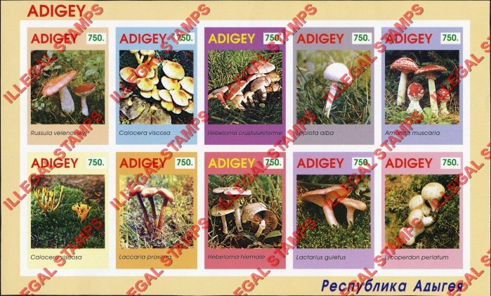 Republic of Adygea 1996 Mushrooms Illegal Stamps Republic of Adygea 1996 Mushrooms Illegal Stamps