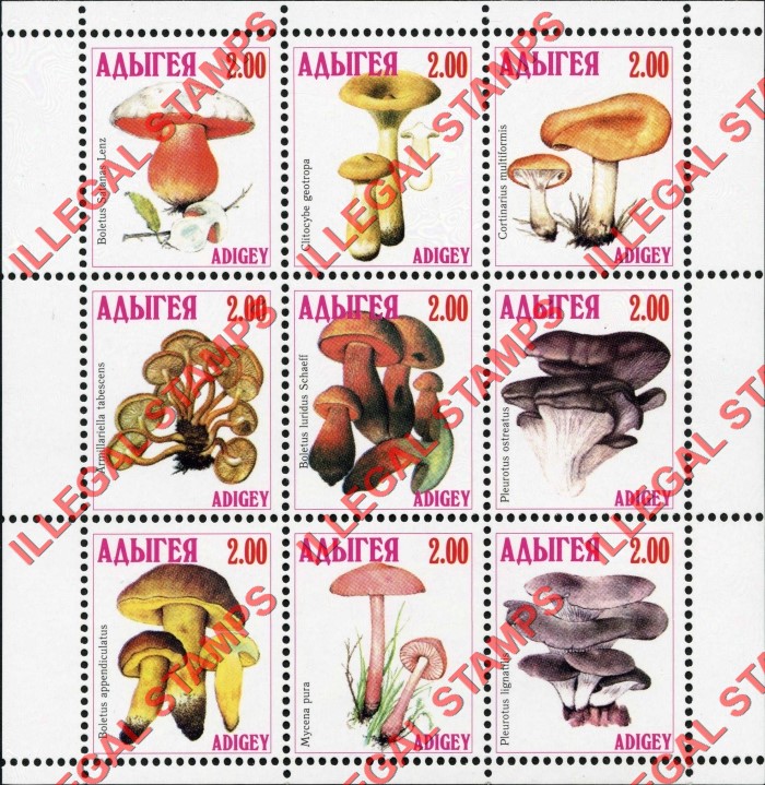 Republic of Adygea 1998 Mushrooms Illegal Stamps Republic of Adygea 1998 Mushrooms Illegal Stamps