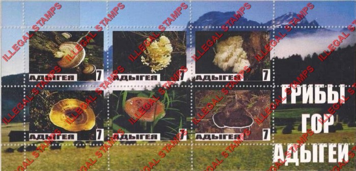 Republic of Adygea 2007 Mushrooms Illegal Stamps Republic of Adygea 2007 Mushrooms Illegal Stamps