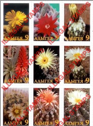 Republic of Adygea 2009 Cactus Flowers Illegal Stamps Republic of Adygea 2009 Cactus Flowers Illegal Stamps