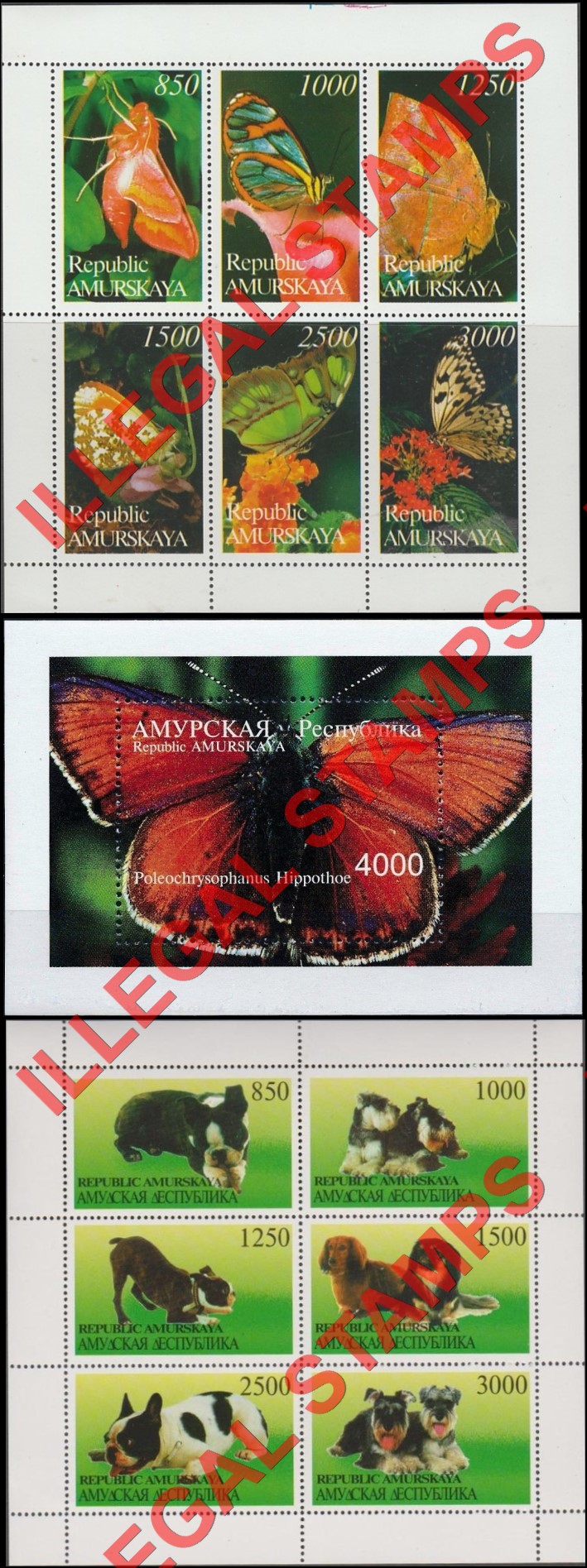 Amurskaya Province 1997 Butterflies and Dogs Illegal Stamps Amurskaya Province 1997 Butterflies and Dogs Illegal Stamps