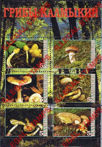 Kamchatka Region 2007 Illegal Stamps Kamchatka Region 2007 Illegal Stamps