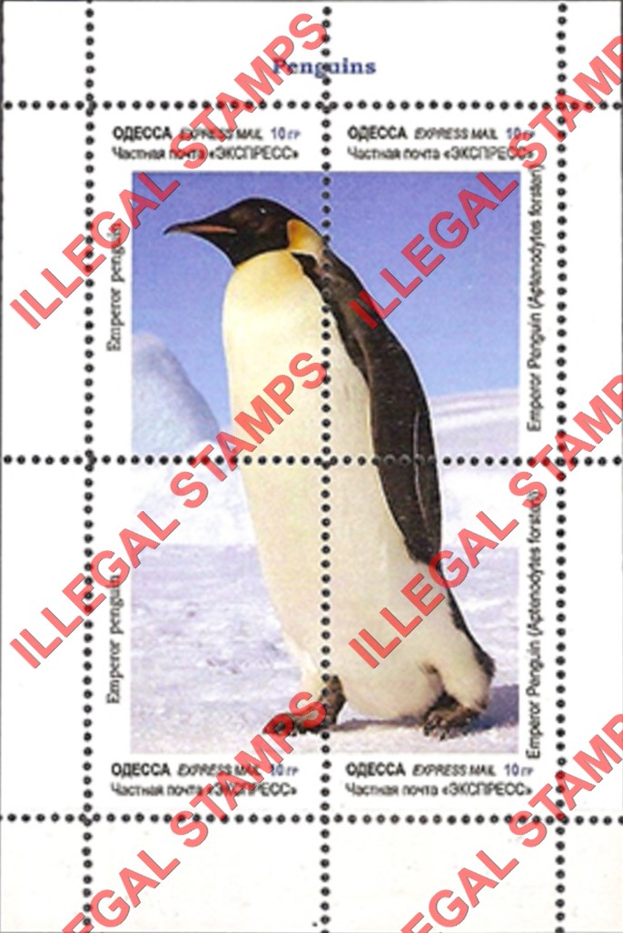 Odessa 2013 Emperor Penguin Illegal Stamps Odessa 2013 Emperor Penguins Illegal Stamps