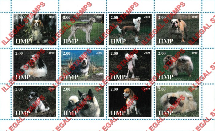 Transnistria 2000 Dogs Illegal Stamps Transnistria 2000 Dogs Illegal Stamps