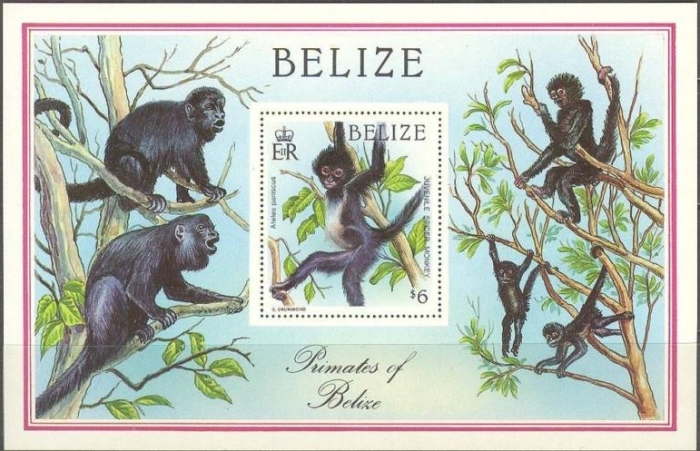 1987 Primates Souvenir Sheet 1987 Primates Souvenir Sheet