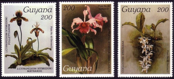 1987 Centenary of Publication of Sanders' Reichenbachia Orchids (22nd issue) Stamps 1987 Centenary of Publication of Sanders' Reichenbachia Orchids (23rd issue) Stamps