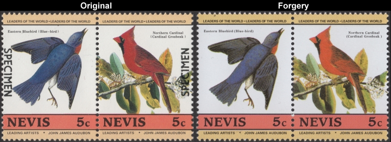 Nevis 1985 Audubon Birds Forgeries with Original 5c Stamp Comparison