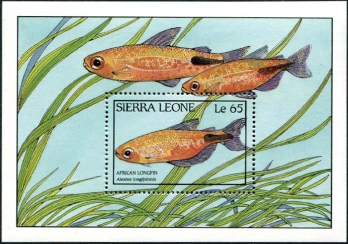 1988 Fish of Sierra Leone Souvenir Sheet 1988 Fish of Sierra Leone Souvenir Sheet