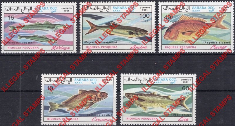 Sahara Occ. RASD 1991 Fish Counterfeit Illegal Stamp Set of 5 Sahara Occ. RASD 1991 Fish Counterfeit Illegal Stamp Set of 5
