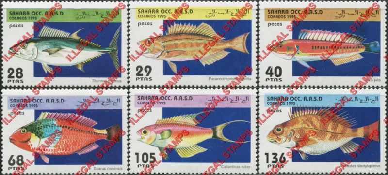 Sahara Occ. RASD 1995 Fish Counterfeit Illegal Stamp Set of 6 Sahara Occ. RASD 1995 Fish Counterfeit Illegal Stamp Set of 6