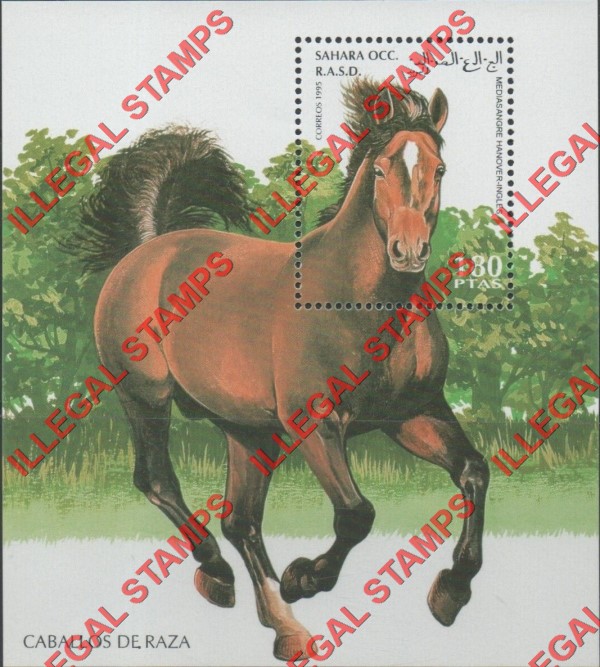 Sahara Occ. RASD 1995 Horses Counterfeit Illegal Stamp Souvenir Sheet of 1 Sahara Occ. RASD 1995 Horses Counterfeit Illegal Stamp Souvenir Sheet of 1