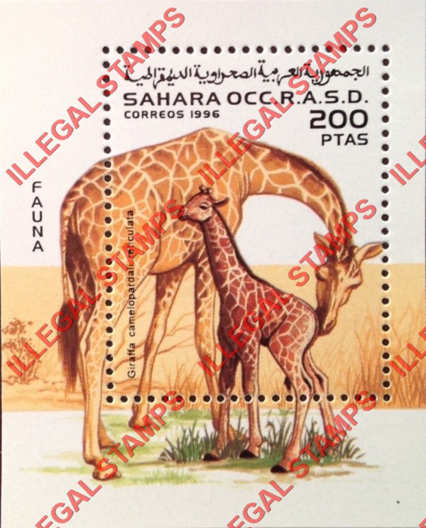 Sahara Occ. RASD 1996 Animals Fauna Giraffes Counterfeit Illegal Stamp Souvenir Sheet of 1 Sahara Occ. RASD 1996 Animals Fauna Giraffes Counterfeit Illegal Stamp Souvenir Sheet of 1