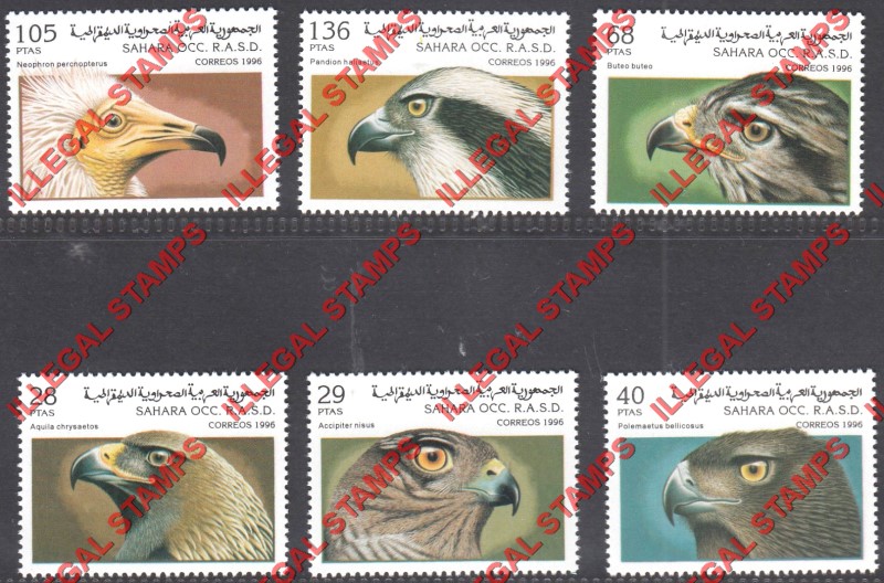 Sahara Occ. RASD 1996 Birds of Prey Counterfeit Illegal Stamp Set of 6 Sahara Occ. RASD 1996 Birds of Prey Counterfeit Illegal Stamp Set of 6