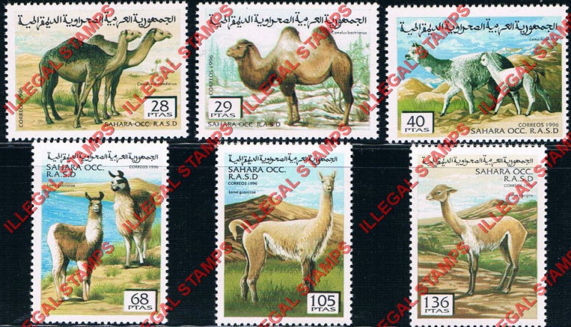 Sahara Occ. RASD 1996 Camels Counterfeit Illegal Stamp Set of 5 Sahara Occ. RASD 1996 Camels Counterfeit Illegal Stamp Set of 5