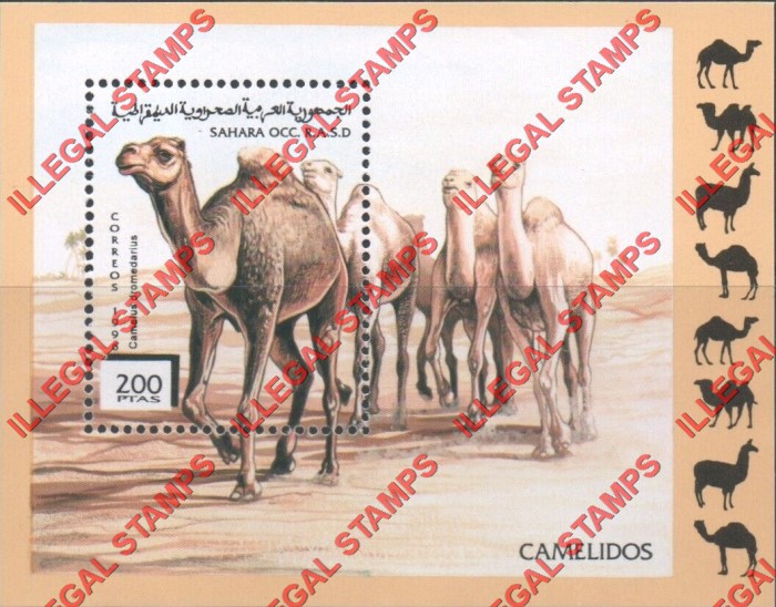 Sahara Occ. RASD 1996 Camels Counterfeit Illegal Stamp Souvenir Sheet of 1 Sahara Occ. RASD 1996 Camels Counterfeit Illegal Stamp Souvenir Sheet of 1
