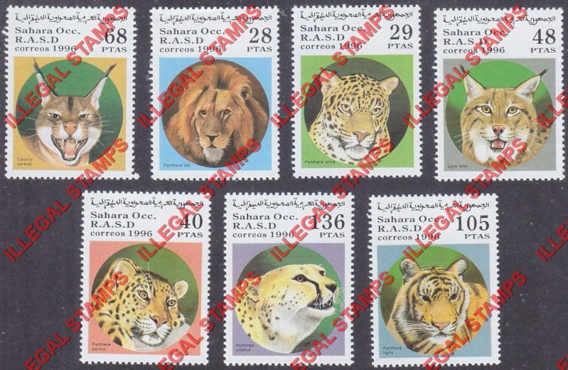 Sahara Occ. RASD 1996 Wild Cats Counterfeit Illegal Stamp Set of 7 Sahara Occ. RASD 1996 Wild Cats Counterfeit Illegal Stamp Set of 7