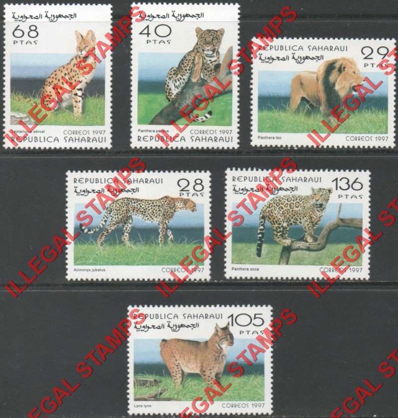 Republica Saharaui 1997 Big Cats Counterfeit Illegal Stamp Set of 6 Republica Saharaui 1997 Big Cats Counterfeit Illegal Stamp Set of 6